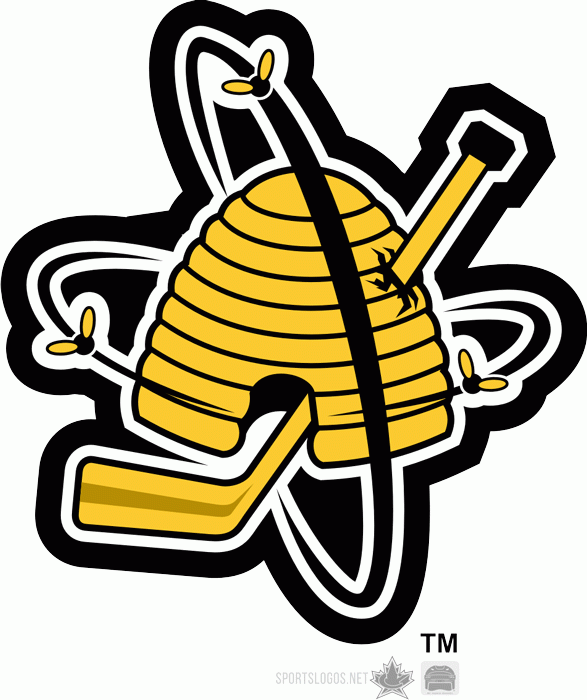 Sarnia Sting 1999 00-Pres Alternate Logo vinyl decal